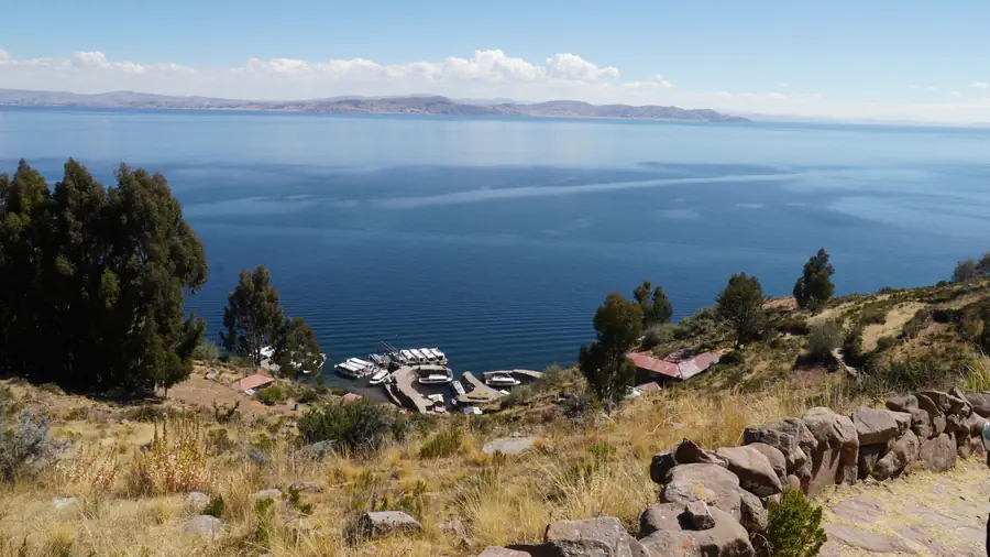 Amantani hillside with trees and stone walls above Lake Titicaca