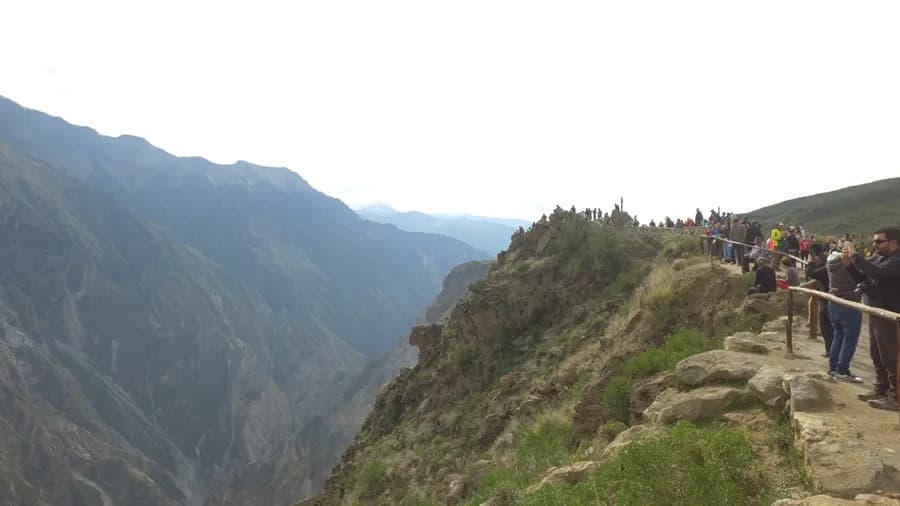 The Colca Canyon seen from the Cruz del Cóndor viewpoint